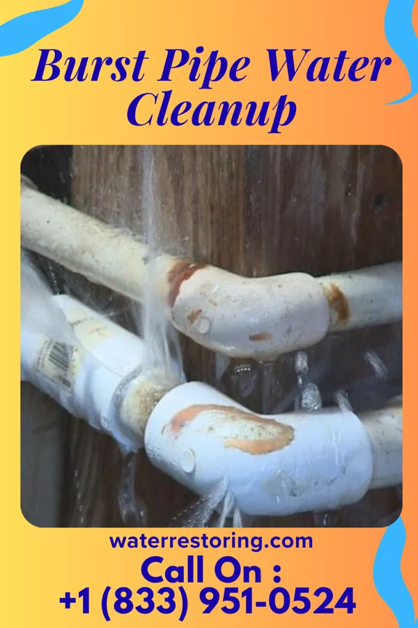 Burst Pipe Water Cleanup in Enhaut, PA