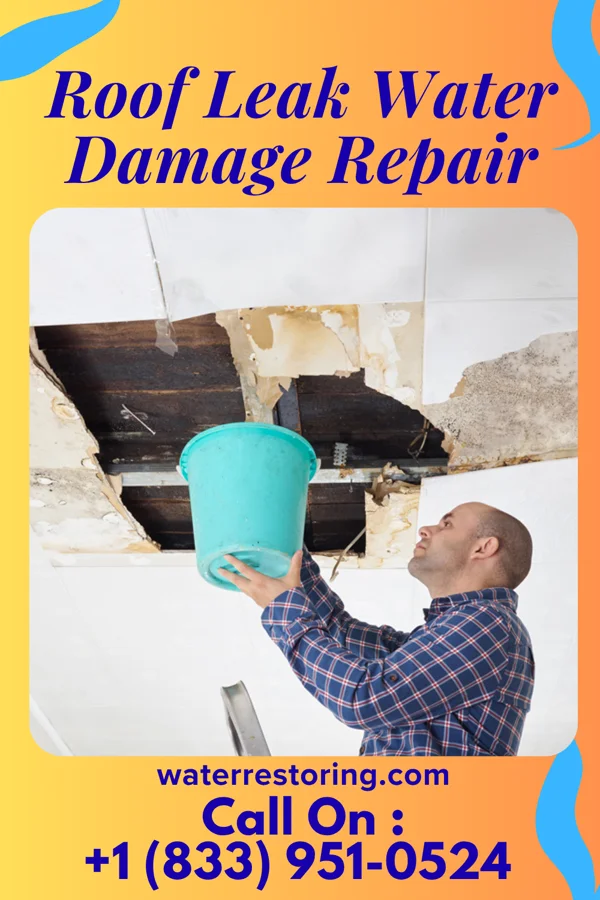 Roof Leak Water Damage Repair in Enhaut, PA