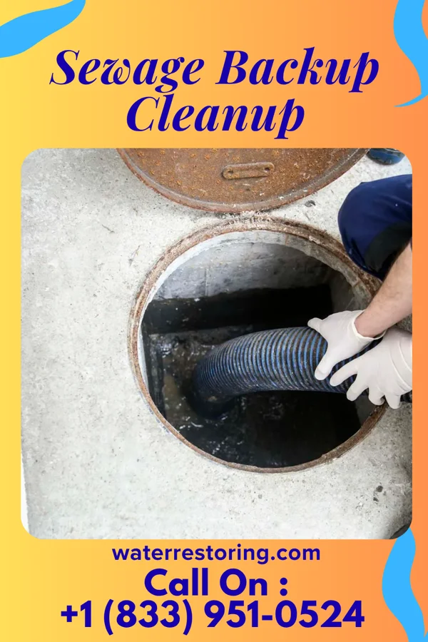 Sewage Backup Cleanup in Enhaut, PA