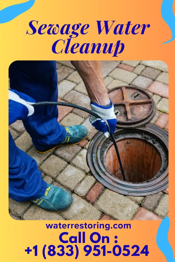 Sewage Water Cleanup in Enhaut, PA