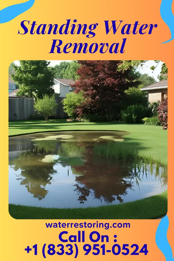 Standing Water Removal in Enhaut, PA